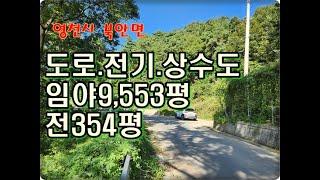 (영천착한부동산)NO.887/도로150M접하는 영천임야/임야9,55평.전354평/전기및상수도 인입되는 영천임야