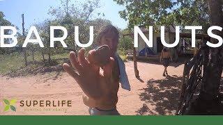 Discovering the Baru Nut with Darin Olien in Brazil