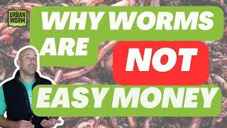 2 Hidden Obstacles to Profit in Worm Farming