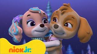 PAW Patrol | PAW Patrol rettet Meerjungfrauen und Dinosaurier! ‍️ | Nick Jr. Deutschland