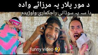 da mor plar pa marzay wada #pashtovines #newfunnyvideo #funny #viral #pashtofunny #hasnainshahi22