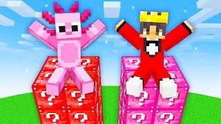 NOOB vs PRO Lucky Block TOWER Race in Minecraft!