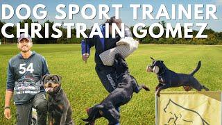 How to Train Your Rottweiler for Sports