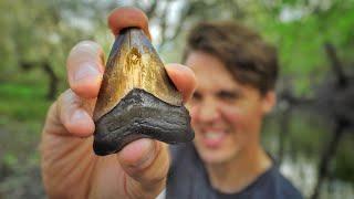 We Found LOADS of Shark Teeth Fossils in a Florida Swamp (and Got Caught in a Storm!)