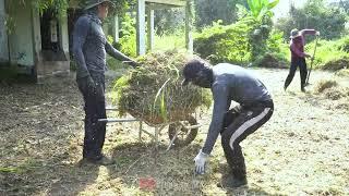 3 young men actively clean up an abandoned house with no owner with a surprise