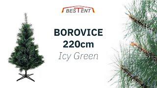 Vánoční stromek borovice 220cm Icy Green - Bestent.cz