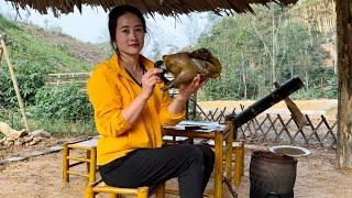 Boil A Whole Black Chicken To Enjoy After Hard Days, Vàng Hoa, king kong amazon