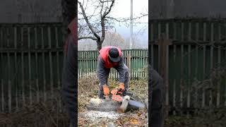 Старая китайская пила все еще в строю и заводится с полуоборота  #chainsaw #stihl