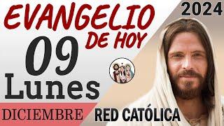 Evangelio de Hoy Lunes 09 de Diciembre de 2024 | REFLEXIÓN | Red Catolica