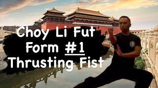 Choy Li Fut Form 1 Thrusting Fist Form