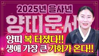 2025년 초대박 양띠운세 양띠 제대로 복 터졌다!! 생애 가장 큰 기회가 반드시 찾아온다! 기대하세요  55년생 67년생 79년생 91년생 양띠 운세