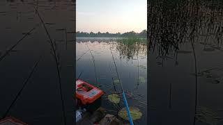 В ОЖЫДАНИЕ КРУПНОГО ЛИНЯ РЫБАЛКА РАННИМ УТРОМ
