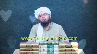 AHL-E-BAIT Aur SAHABA Deen Mein Hujjat? - (Engineer Muhammad Ali Mirza - WhatsApp Status)