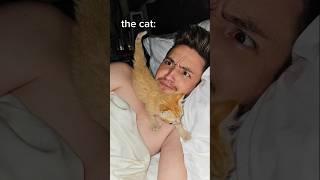 Trying To SLEEP With A NEW KITTEN #shorts 