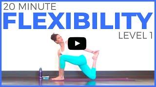 20 minute Yoga for Flexibility (Level 1) Full Body Yoga Stretch