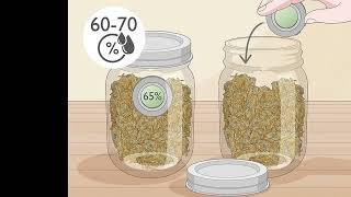 How to Dry and Cure Cannabis