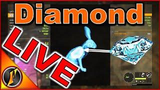 Diamond LIVE on Stream with Jaxybeard!