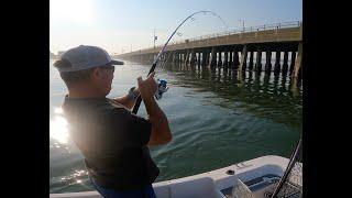 What Did Scott Catch This Time? Fishing the Rt 50 Bridge & North Jetty with live bait & lures