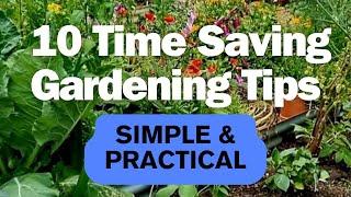 10 Time Saving Gardening Tips •  Create An Adundant Garden Faster !