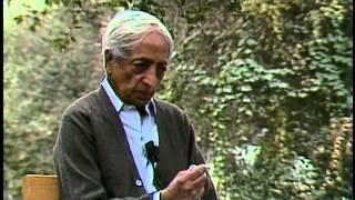 What is the difference between insight and enlightenment? | J. Krishnamurti