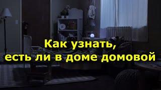 Как узнать, есть ли в доме домовой.