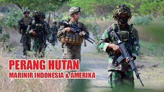 DI HUTAN INDONESIA, MARINIR AMERIKA BERLATIH PERANG.