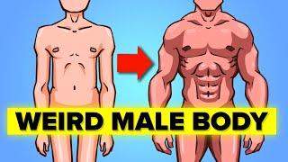 Weird Facts about Male Body