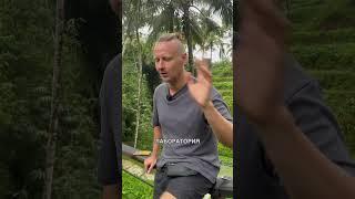 Что такое кейтеринг?