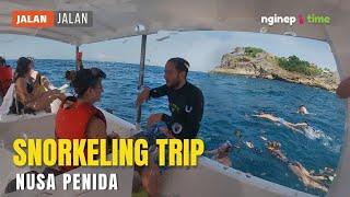 Snorkeling Trip 4 Point di Nusa Penida -Bali