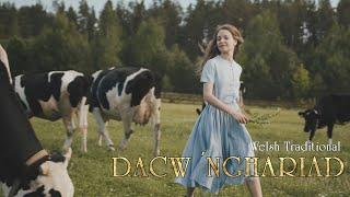 Dacw 'Nghariad - High Quality with lyrics  - Welsh folk song meets Nordic music