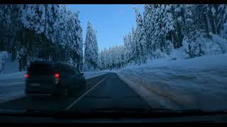 Driving on Pokljuka plateau - POV scenic driving through magical snow covered winter landscape