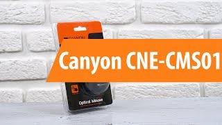 Распаковка Canyon CNE-CMS01 / Unboxing Canyon CNE-CMS01