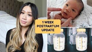 1 Week Postpartum Update: Breastfeeding, Weight Loss | HAUSOFCOLOR