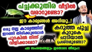 വീട്ടില്‍ പച്ചക്കുതിര വരാറുണ്ടോ? ഈ കാര്യങ്ങള്‍ അറിയൂ..! പല സംശയങ്ങളും ഇതോടെ തീരും!!!