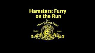 From Metro-Goldwyn-Mayer/MPAA Rating "G" Screen (1987) (Hamsters: Furry on the Run Closing Variant)