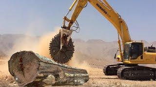 Giant Devil Excavator Cutting Tree - Fast Wood Sawmill Line - Modern Wood Processing Technology