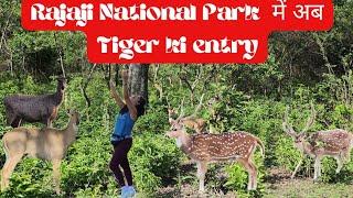 Rajaji National Park,Ranipur Range | Things to Do in Haridwar | NewVlog