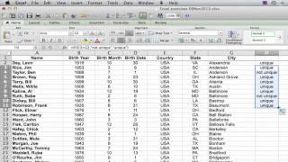 How to Count the Number of Unique Values in a List in Excel : Using Excel