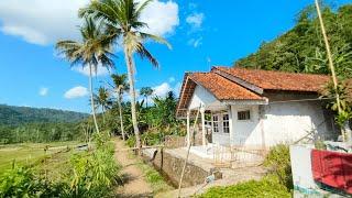 Bikin Tenang Dan Nyaman!!! Hidup Di kampung Yang indah, Subur, makmur Dan Asri  pedesaan Jawa Barat