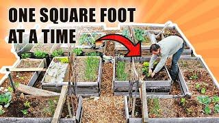 Square Foot Gardening 101 - 8 Steps To Make Gardening In Raised Beds EASY