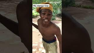 Edubros my mangoe tree #comedy #funny #comedyfilms #africa #amapiano #music #shorts #lolove #africa