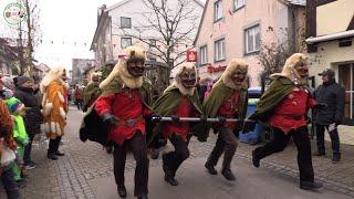 Fasnet, Umzug in Hagnau Teil1