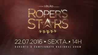 VT Leilão Roper's Stars 2017