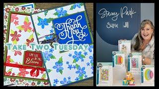 Take 2 Tuesday Class 36 featuring the October Petals Adornment stencil by Sizzix.  Available Now