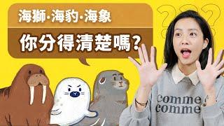 海獅海豹海象你分得清楚嗎？Greenvoice 綠之心EP46｜綠色和平台灣