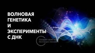 Волновая генетика и эксперименты с ДНК