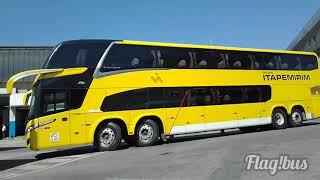 Chegada dos ônibus a Rodoviária Novo Rio!