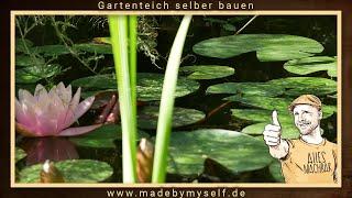 Teich selber bauen, Gartenteich selber anlegen,  Fischteich mit Teichfolie verlegen