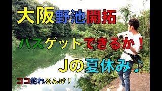 ココ釣れるんけ！大阪でバス釣り・野池開拓！Jの夏休み