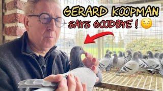 Gerard Koopman’s Historic Pigeon Auction: 623 Racing Champions for Sale!